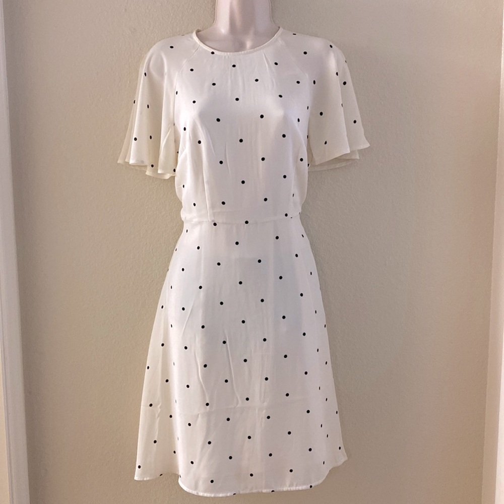 Adorable Polka Dot Drexx